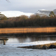 Río Garavogue. Sligo